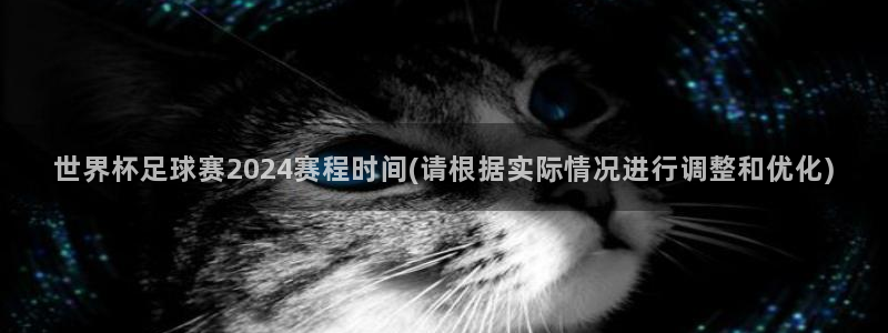 欧洲世预赛赛程表：世界杯足球赛2024赛程时间(请根据实际情况进行调整和优化)