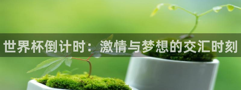世界杯 2026：世界杯倒计时：激情与梦想的交汇时刻