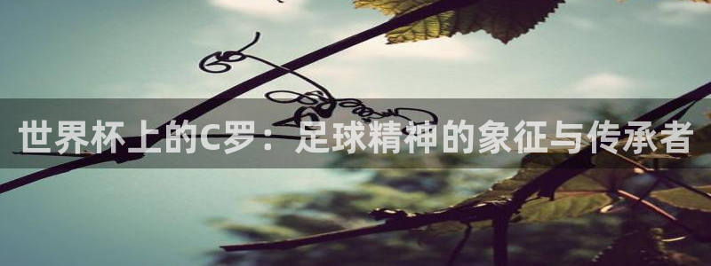 世界杯 2026：世界杯上的C罗：足球精神的象征与传承者
