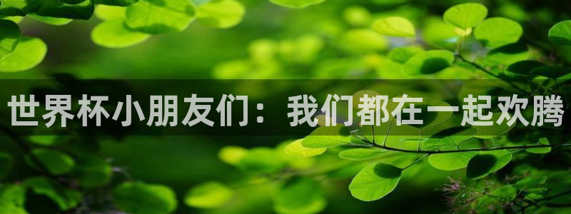 2026世界杯赛程：世界杯小朋友们：我们都在一起欢腾