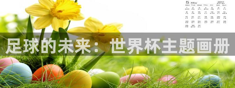 世界杯球赛：足球的未来：世界杯主题画册