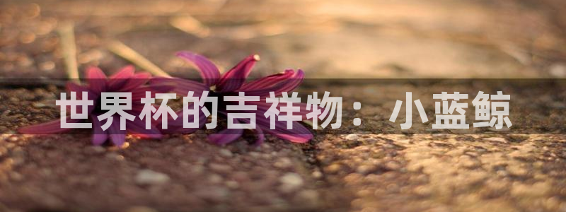 世界杯亚洲预选赛18强赛程：世界杯的吉祥物：小蓝鲸
