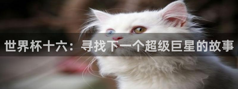 2026世界杯中国队：世界杯十六：寻找下一个超级巨星的故事