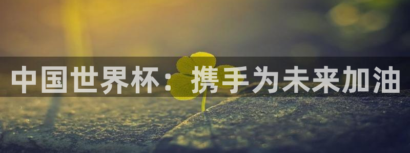 世界杯：中国世界杯：携手为未来加油