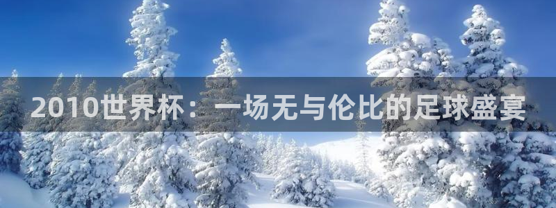 2026足球世界杯:2010世界杯:一场无与伦比的足球盛宴