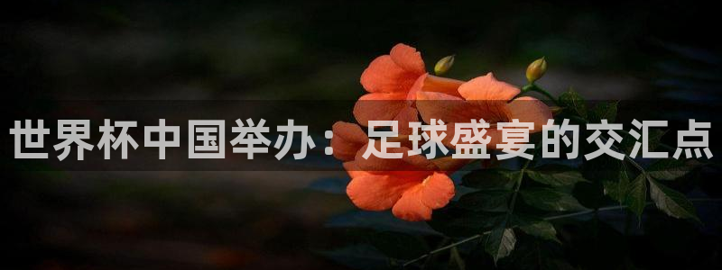 今年世界杯：世界杯中国举办：足球盛宴的交汇点