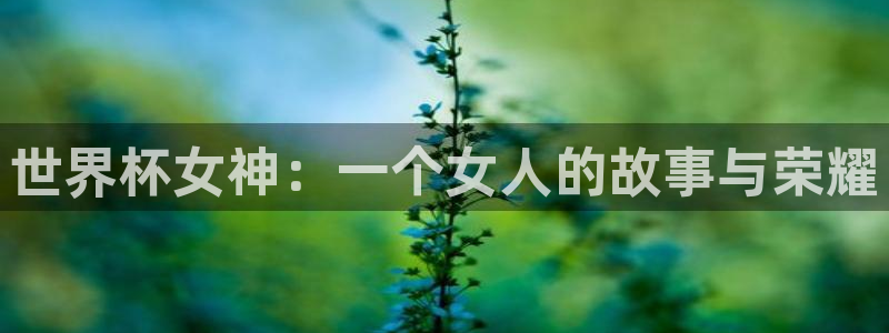 世界杯预选赛排名：世界杯女神：一个女人的故事与荣耀
