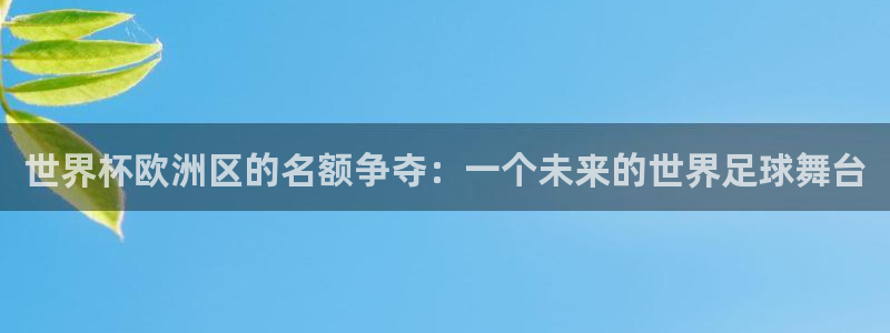 世界杯视频：世界杯欧洲区的名额争夺：一个未来的世界足球舞台