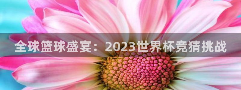 2026世界杯足球赛程时间表：全球篮球盛宴：2023世界杯竞猜挑战