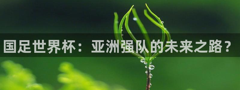 世界杯：国足世界杯：亚洲强队的未来之路？