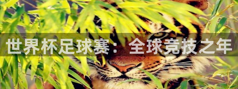今天所有足球赛程表：世界杯足球赛：全球竞技之年